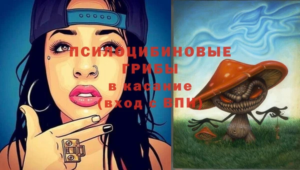 гидра Липки