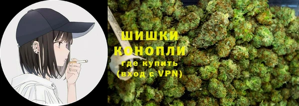 гидра Липки