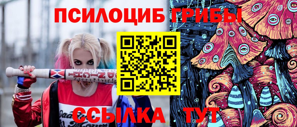 Псилоцибиновые грибы Magic Shrooms Калининград