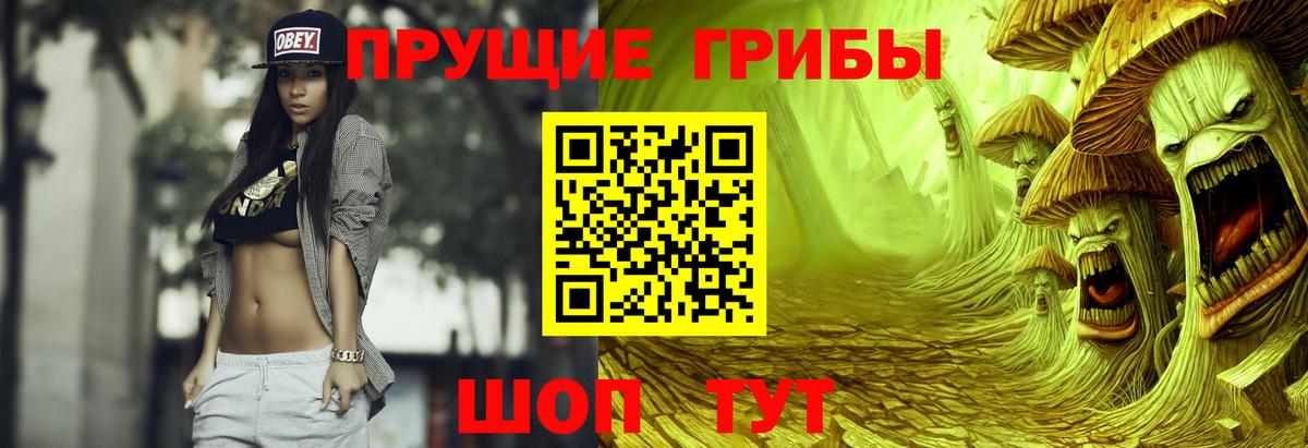 Калининград  Галлюциногенные грибы Magic Shrooms  Вход с VPN 